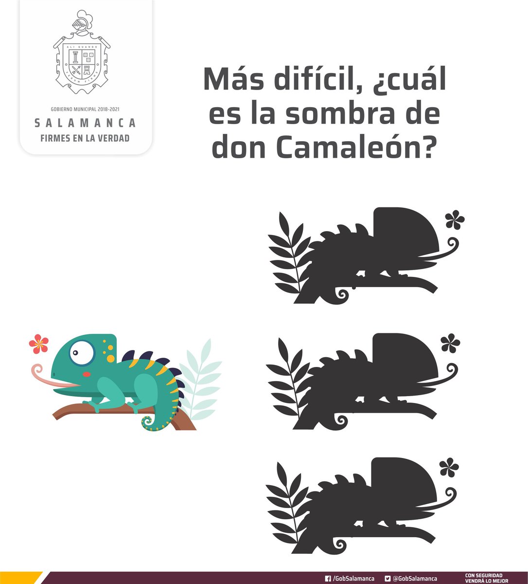 DIFsalamanca's tweet photo. Estando en casa también puedes ejercitar tu mente. https://t.co/8Vly24dndd