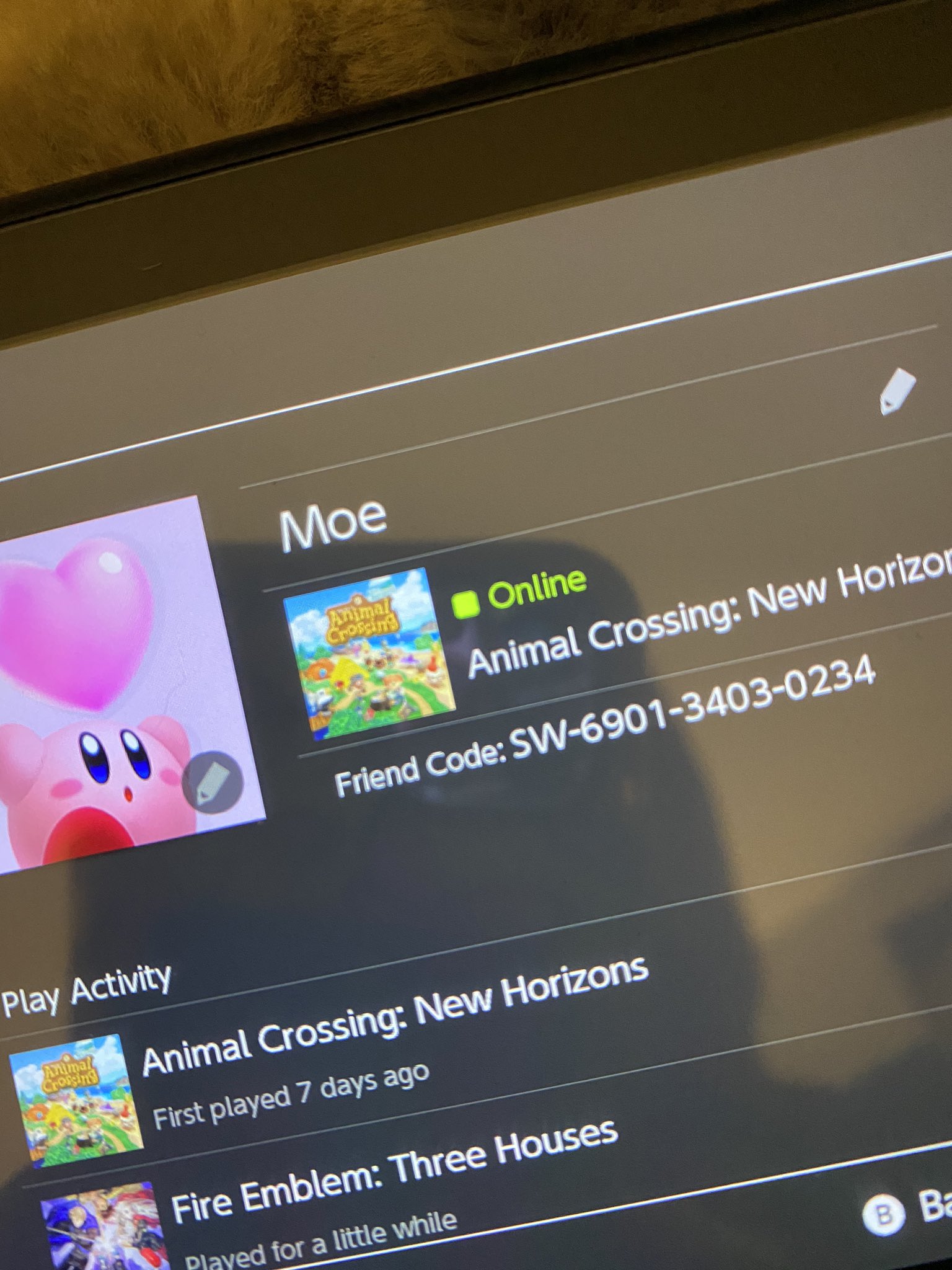 Nintendo SWITCH Friend Codes and Online Fun
