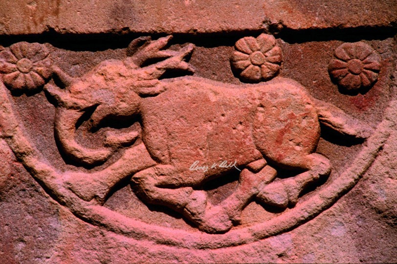 benoy_behl's tweet photo. Composite Creature. All of creation is seen in a vision full of warmth. Stupa II, Sanchi c. 100 BCE.
It is time to stop being cruel to bats, chicken, all animals, trees…nature.
#buddhistart #lockdown #indianart #arthistory https://t.co/JNonBUIgNq