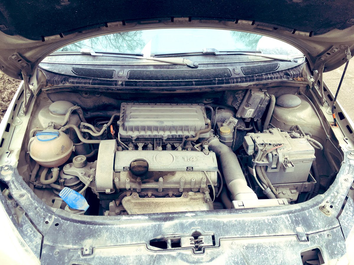 Иван Углянский tweet media