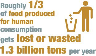 MorgynFrench's tweet photo. This is mind blowing! To think just how much food is being wasted in our homes and classroom. Introducing chickens into a school community is a great way to cut down on waste as well as great learning opportunities for our students #ReducingWaste #UoNTeach https://t.co/L2lbnrXC42