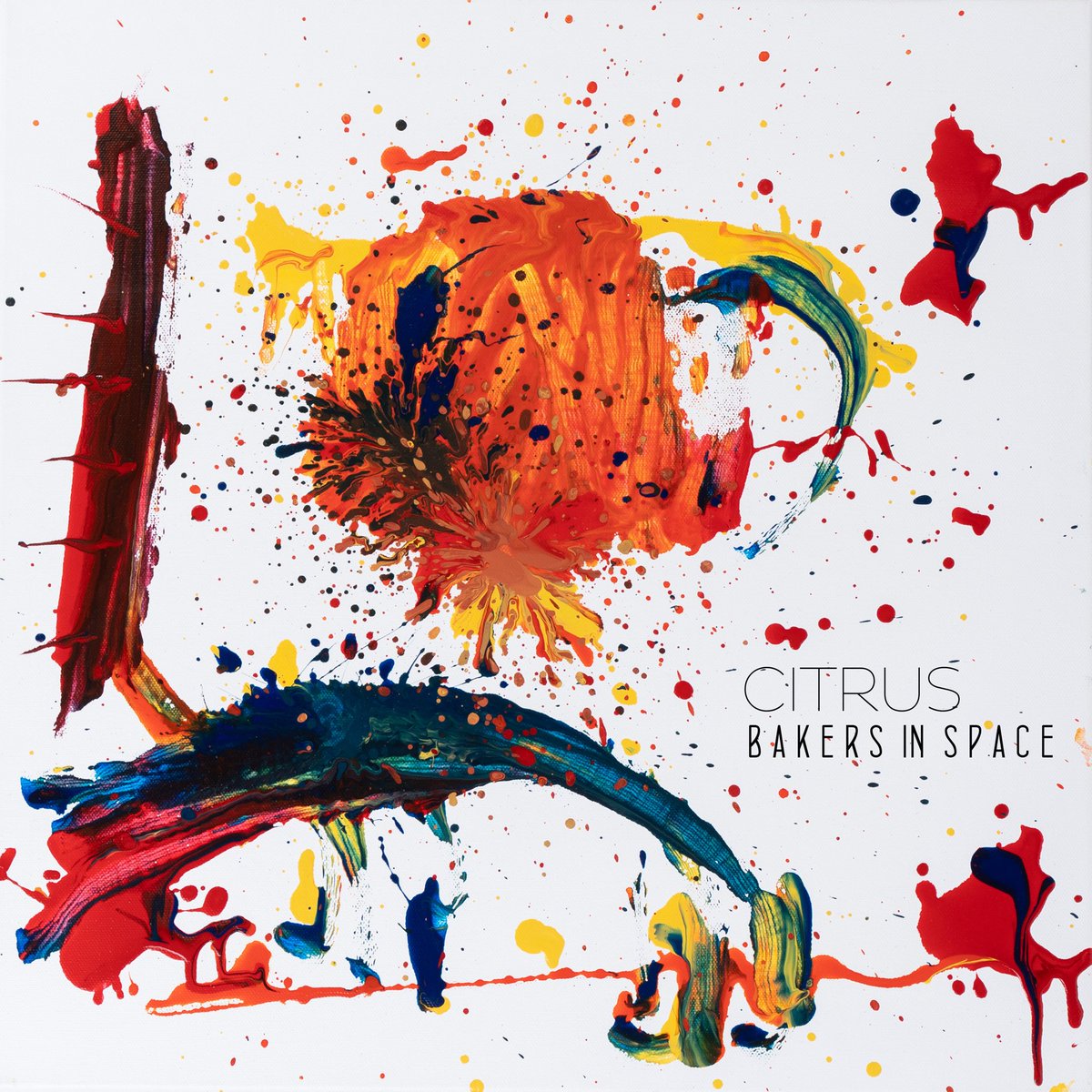 Bakers In Space tweet media