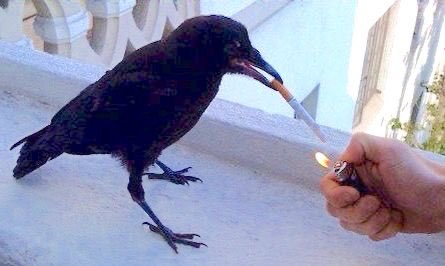are cigarette commercials illegal Congress bans airing cigarette ads, April 1, 1970