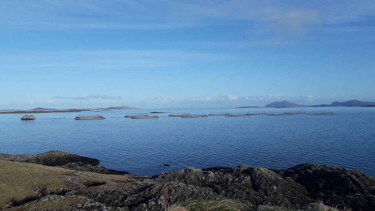 MowiScotlandLtd's tweet photo. Morning all π
Beautiful clear skies over Grey Horse Channel this morning (Uist β Western Isles)
Thanks to #farmmanger Chin for sharing https://t.co/juM4CSvQos
