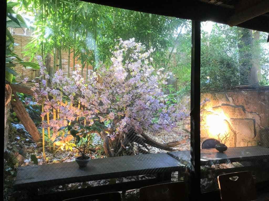 造花のレンタル ホット アール Twitter પર 乃木坂 海華月さま 桜 さくら 装飾ディスプレイ 店内ディスプレイ ウィンドウディスプレイ 春装飾 春ディスプレイ 桜 桜ディスプレイ 店舗装飾 店内装飾 店舗ディスプレイ 桜装飾 イベント装飾 T Co 造花のレンタル ホット アール Twitter પર 乃木坂 海華月さま 桜 さくら 装飾ディスプレイ 店内ディスプレイ ウィンドウディスプレイ 春装飾 春ディスプレイ 桜 桜ディスプレイ 店舗装飾 店内装飾 店舗ディスプレイ 桜装飾 イベント装飾 T Co