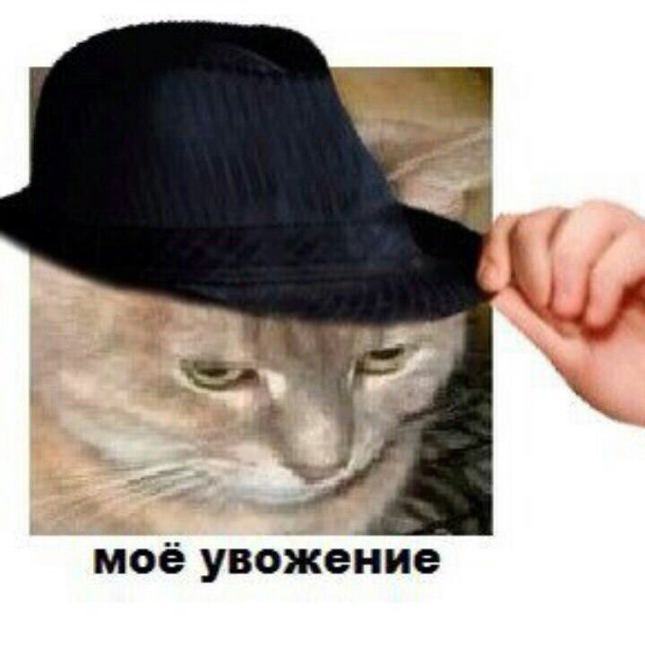 https://pbs.twimg.com/media/EUG3-rFXgAI8aHt.jpg