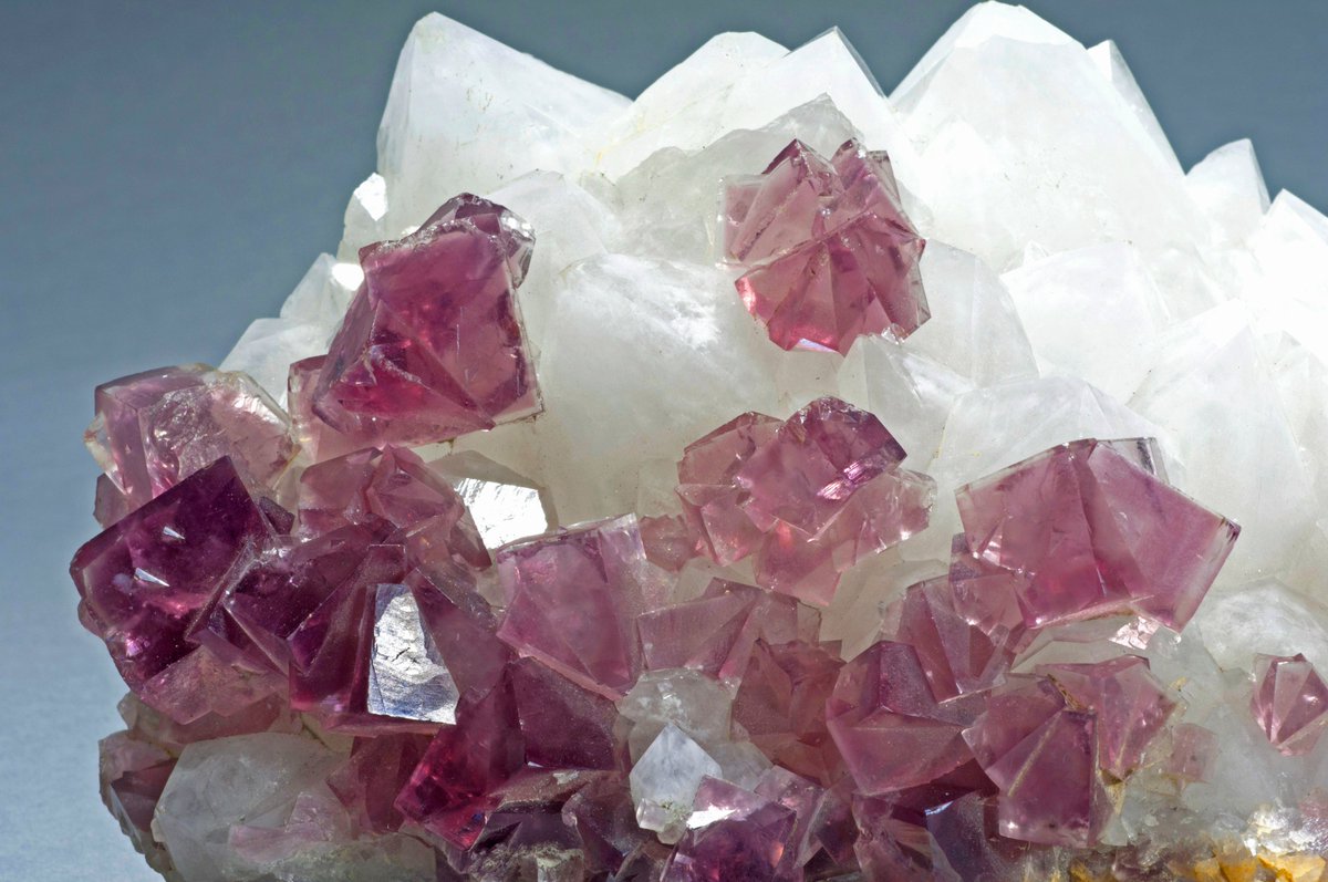 Ready for today's #CURATORBATTLE?!💥

We want to know who has the prettiest object of them all?

We have this pretty Fluorite - ✨💎 "Transparent wine-purple interpenetrating crystals scattered over a group of snow white quartz crystals"✨💎

Can YOU beat it?! #PrettiestObject