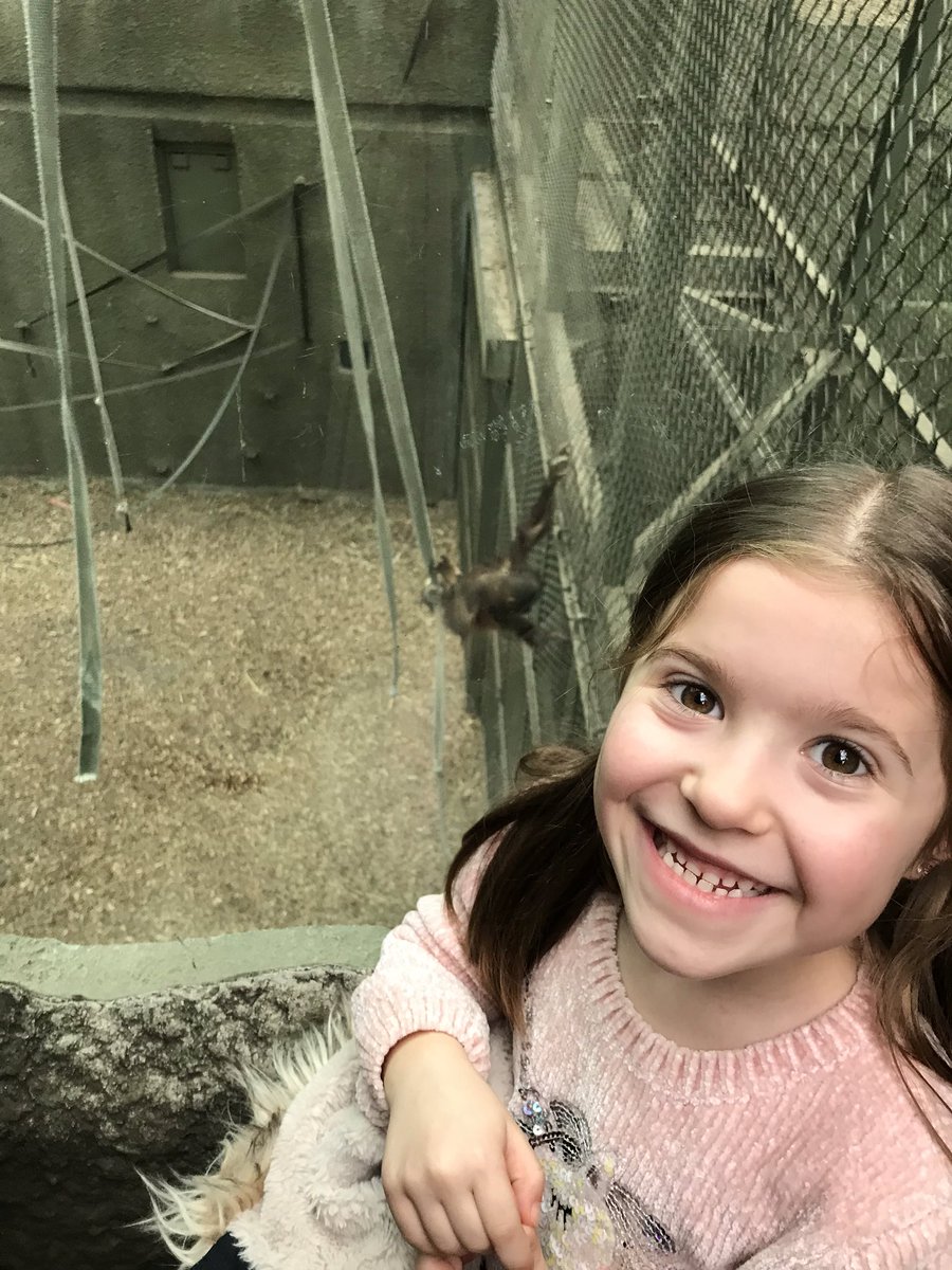 Lou_eba's tweet photo. @chesterzoo @Facebook @LearnatCZ @ScienceatCZ @ActforWildlife That would be amazing thank you for considering it! It would just make her day xx https://t.co/NtxHQC61lG