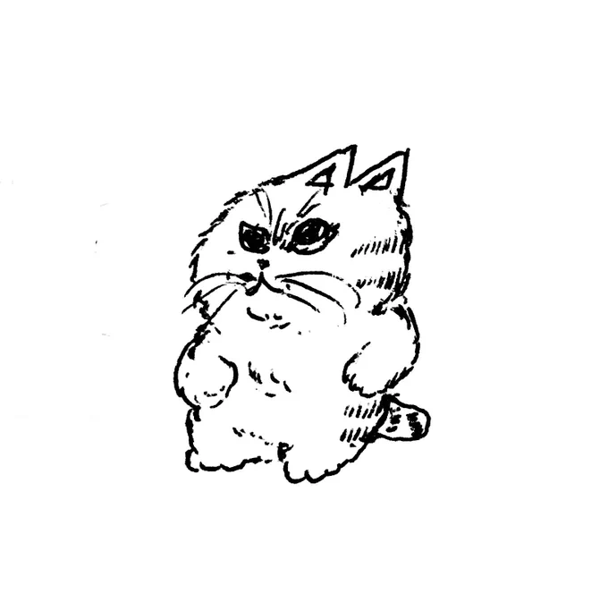 ネコ太郎 