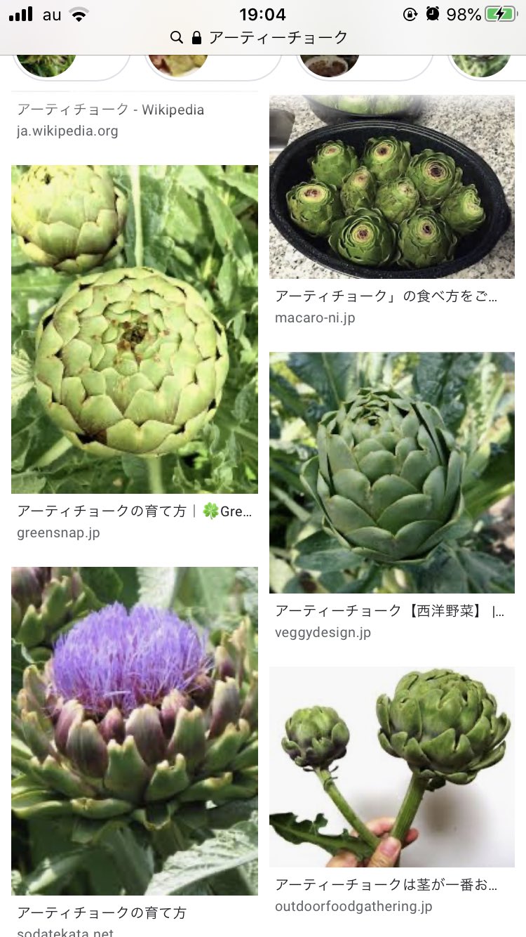邪鬼 ジャッキ アーティーチョークってまた変わったとこを