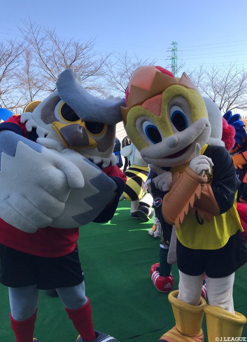 レイくん 柏レイソル ボクは シュウペイさんのほうだからね