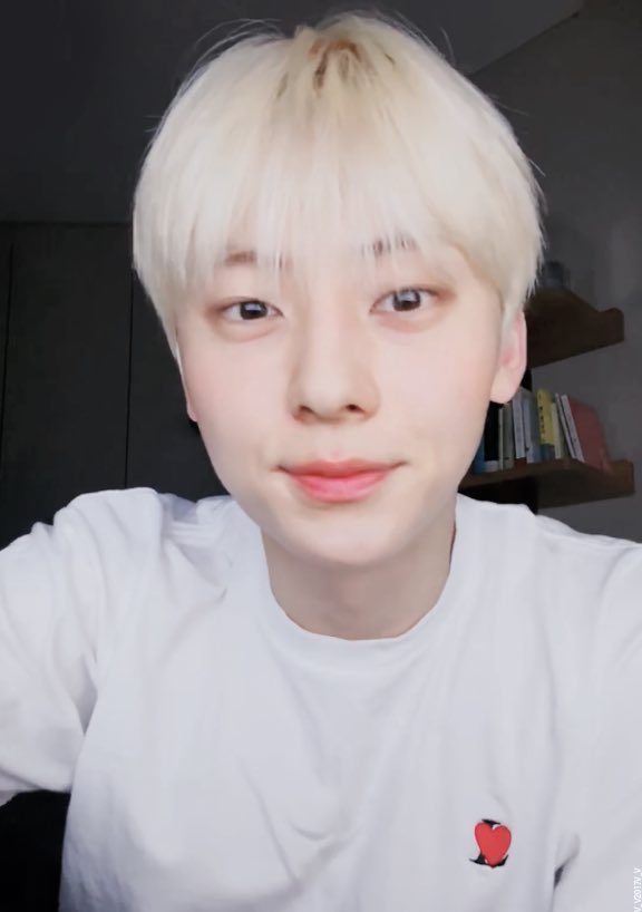 짱 tweet media