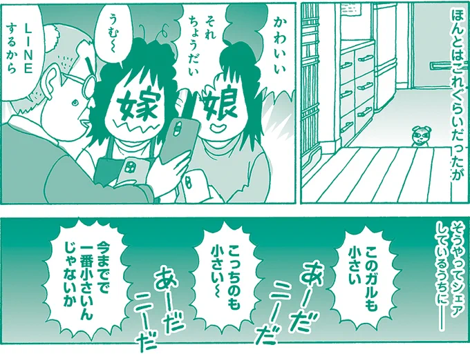 お猫見2 ガルが来た/いがらしみきお
いがらしさん家のガル、キュートに登場隔月連載♪家族みんなの愛を一身に受けるガルの様子は?
#本日発売 #まんがくらぶ 
