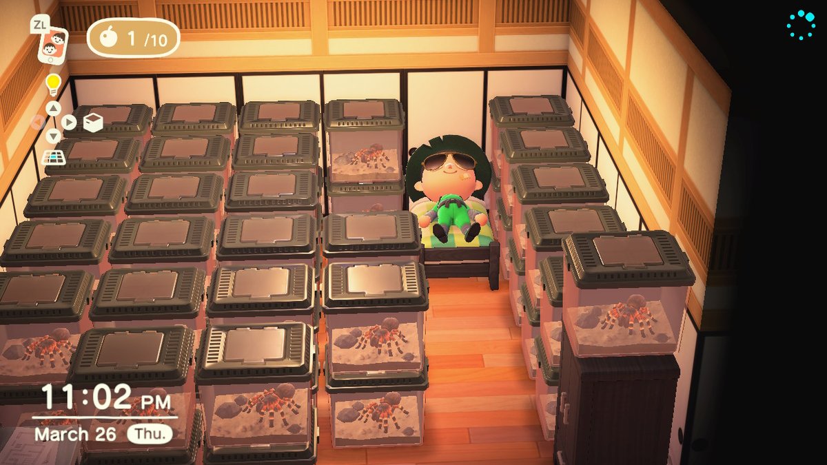 zBlastX's tweet photo. #AnimalCrossing #ACNH #NintendoSwitch https://t.co/Itezs4zNoA