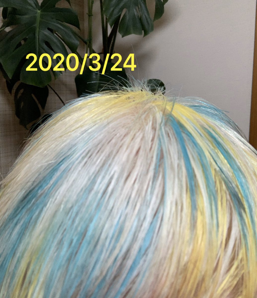 Amaryllischie En Twitter 私はアルビノで地髪はプラチナブロンドなの 色が入りやすく派手になるぅ 今回は黄色と緑をチョイス でも地髪色の関係か緑は毎度青緑になっちゃうの それはそれで好きなんだけどね