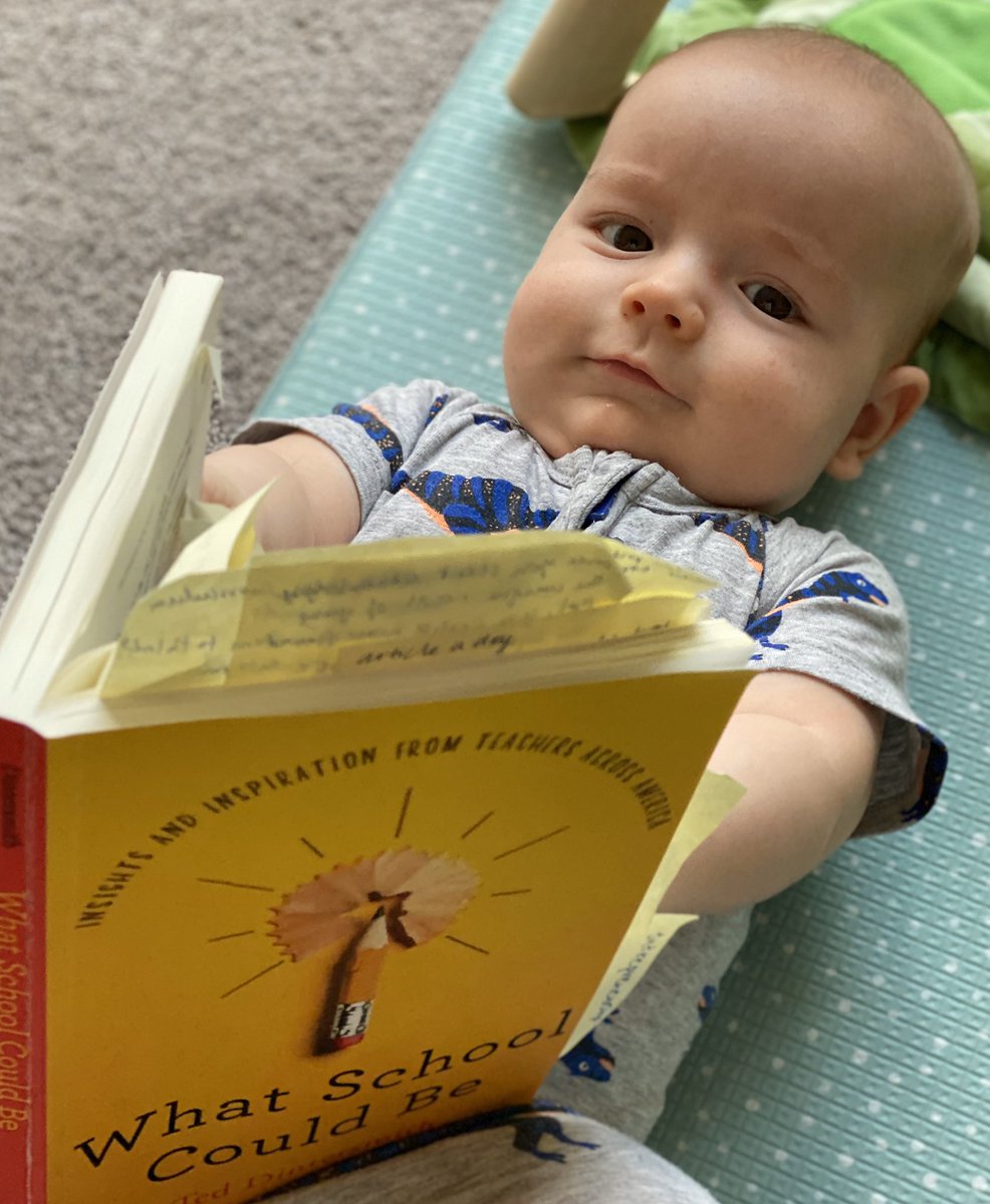 sophiepoisel's tweet photo. An academic afternoon reading about the type of school I’d like to go to. Looking forward to hearing from @dintersmith in the coming weeks online @UNSW #EdD2020 https://t.co/qvdcGpbsck