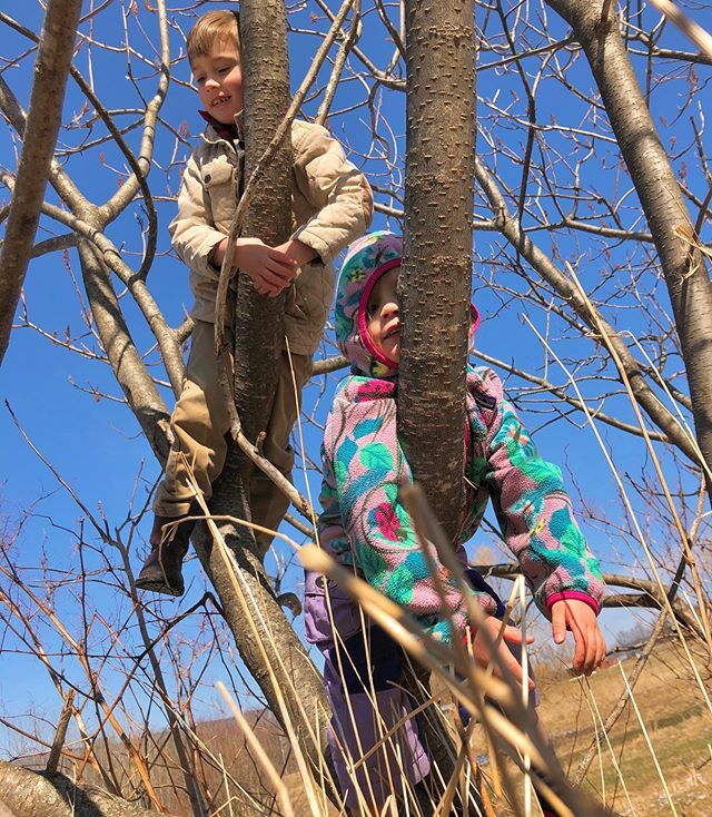 Studio Hill tweet media