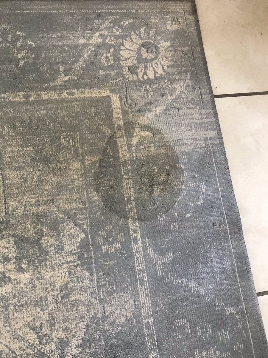 Get carpets cleaned this week before all services are shutdown. Day 1 of lockdown, dog has a wee on the carpet #shutdown #fourways #TheStruggleIsReal