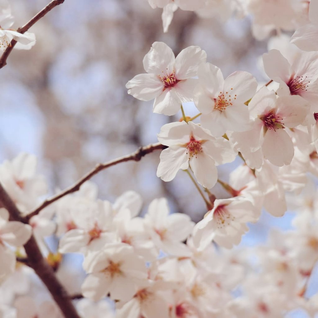 管理栄養士国家試験合格発表