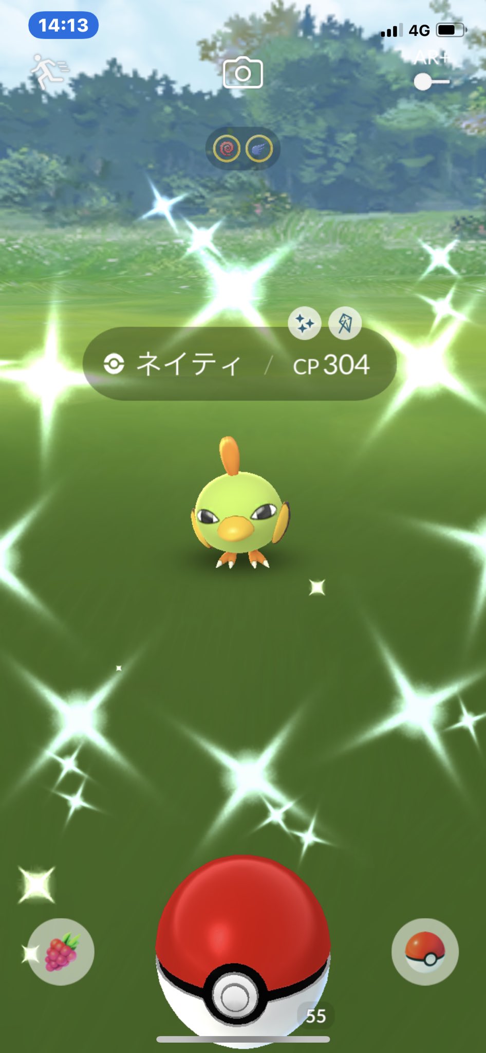 色違いネイティ Twitter Search Twitter