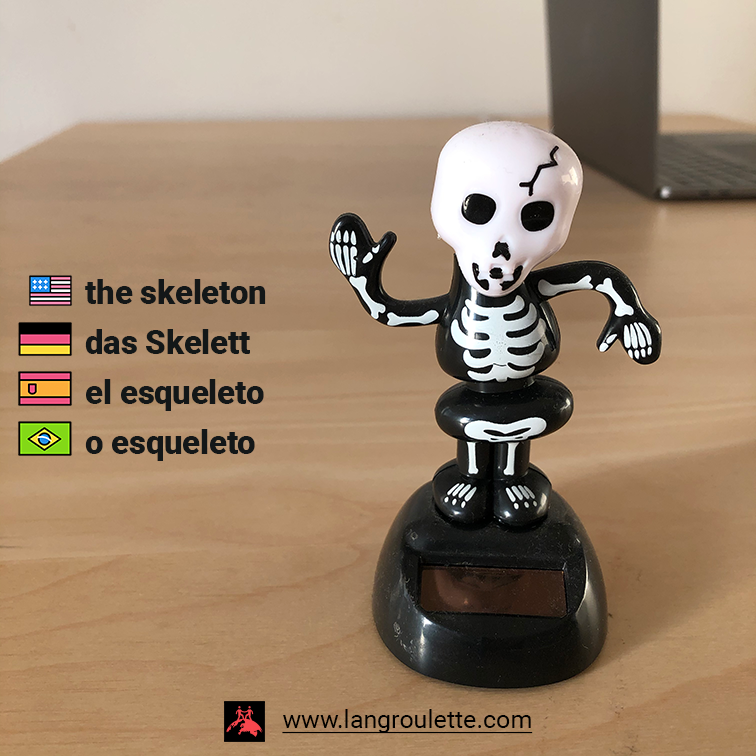 Flashcard [#english] The skeleton, [#deutsch] das Skelett, [#español] el esqueleto, [#português] o esqueleto.

Einfach, order? :) 

#flashcards #german #spanish #portuguese #learnenglish #learnportuguese #aprenderportugues #aprenderespañol #deautschlernen