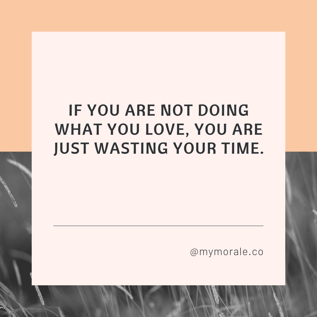 mymoraleco's tweet photo. Don't waste your time.. do what you love. https://t.co/2c578pEpVR