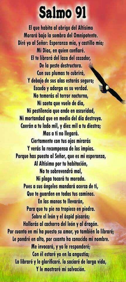 AlphaElegido's tweet photo. Los invito a orar!! Salmo 91 me gustó y lo puse desde el año pasado atrás de mis playeras!! Hay momentos para todo y hoy es el momento!! Dios nos bendiga!! Buenas noches!! 🙌 https://t.co/8Fpvr18kFW