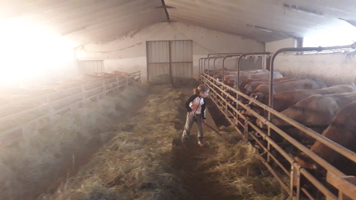 Trop fière de mes filles qui se retroussent les manches et viennent donner un coup de main à leur #agripapa