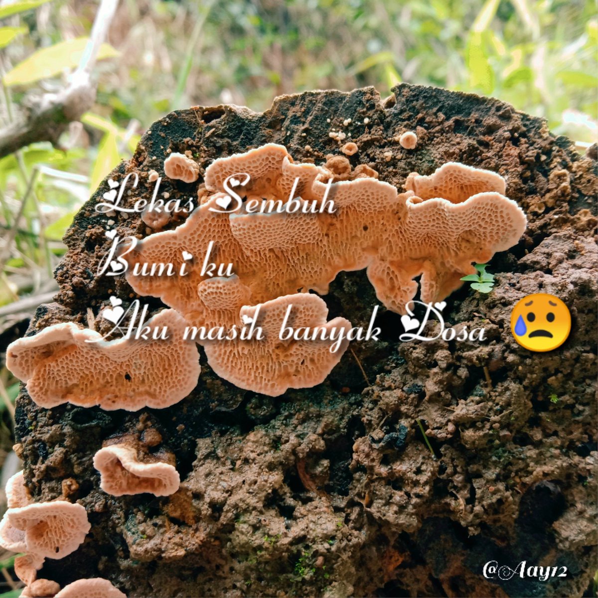 Aay1212's tweet image. Percaya Alloh tau yang terbaik.

#dirumahaja
#jumatBerkah
#perbaikiDiri
#perbaikigayahidup