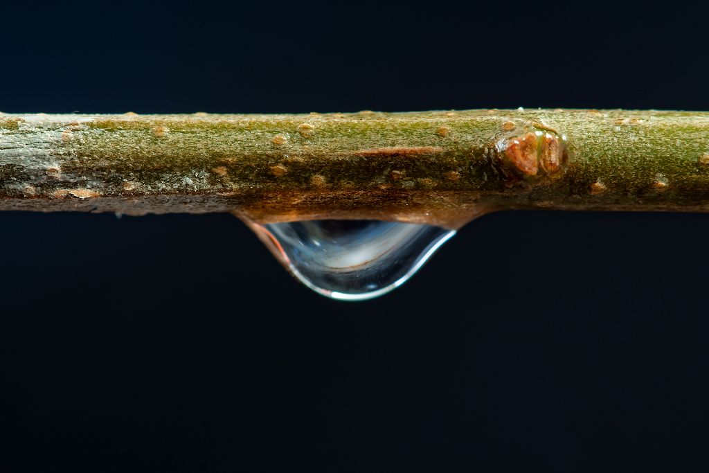 A drop of water seems to hold an entire galaxy in this creative macro-astrophotograph by Massimo Tamajo. In the imaginative work of cosmic nature photography a close-up lens was used to image a previously made picture of a galaxy buff.ly/2UDghxk