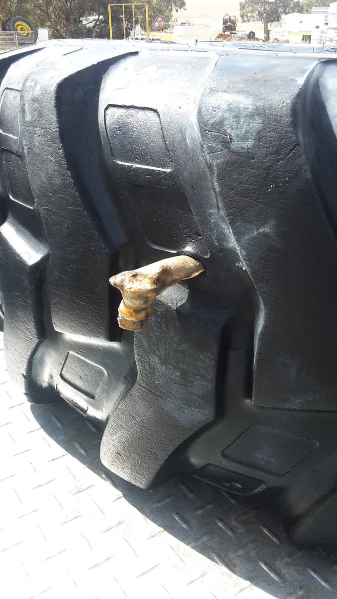 Andrew Leonhardt tweet media