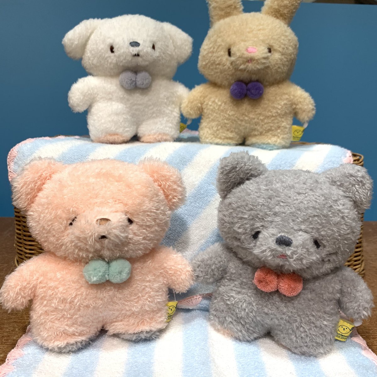 kiitos_selva's tweet photo. 新商品✨ふわふわたっとんSサイズが入荷しました🐻🐶🐱🐰💕

なんとこの子達、自立するんです！！
かわいい〜〜😭このずっしりした立ち姿がとても愛らしいですよね☺️💕
ぱっちり顔とおねむ顔の2種類の表情で皆様のお迎えをお待ちしております⭐️

各種¥1000＋税 https://t.co/751qwXEY6m