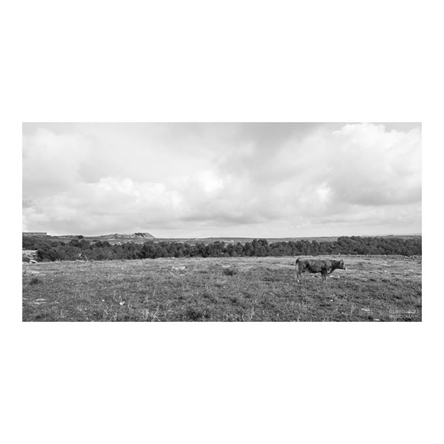 FilippoPoli's tweet photo. Campagna di Ragusa, Sicilia.
.
.
.
.
.
.
#filippopoliphotography #filippopoli #arquitectura #architecture #archilovers #arquitectura #architecturelovers #photography #architecturephotography #fotografiadearquitectura…

📸 https://t.co/SxXvfOdN8t via https://t.co/3vNsnmrgmu https://t.co/uSC8ttpkRA