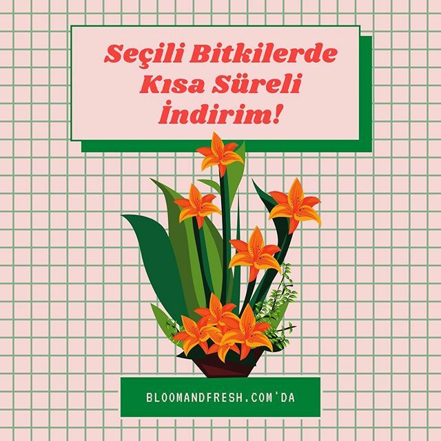 📣 En çok beğenilen bitkilerimizden sizin için seçtik ve indirim yaptık! 📣
Limitli bir süre için geçerli olacak bu indirimi kaçırmamak ve birbirinden güzel bitkilerimizi incelemek için web sitemize bekliyoruz. #BloomAndFresh 💐 ift.tt/2vWr6Ci