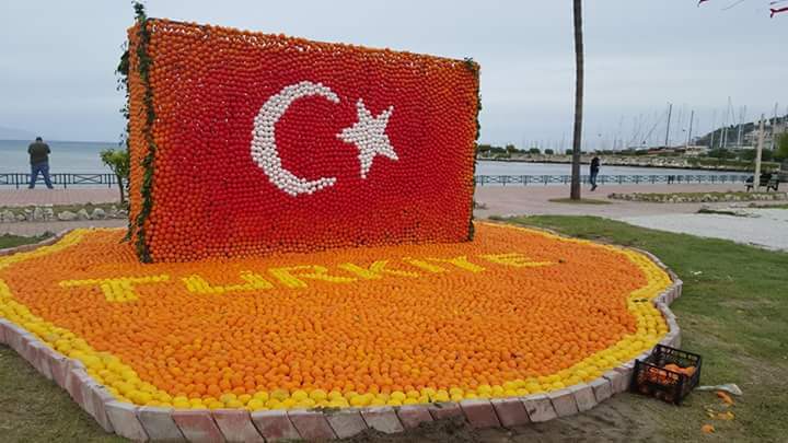 42beyazT's tweet photo. #sebzeyebağışıklıkkazan https://t.co/jaIKixW0H8