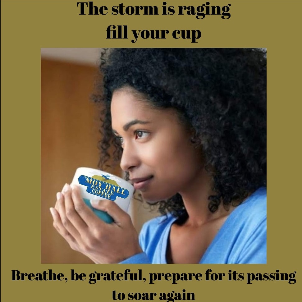CoffeeMoy's tweet photo. #newnormal #shifting
#sifting #becalm
#dontstress #lookup
#higherpower #havefaith
#believe #love #care
#share #breathe 
#yougotthis #connect #beresponsible #challengeself
#gratitudeisamust 
#coffeebreaktime ☕
It's all there. You know what to do. We are here to see you through☕ https://t.co/UlVMgHO0fj