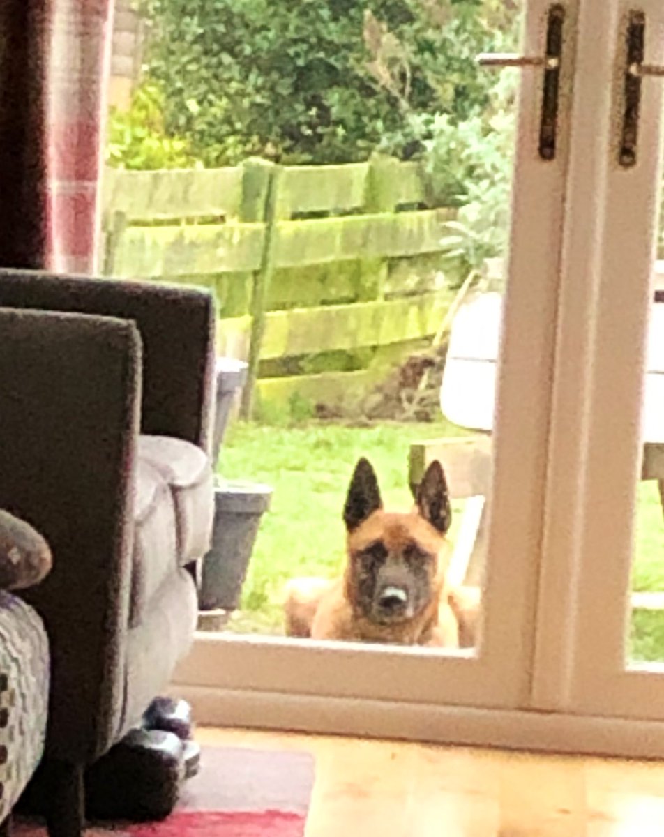 RPD Axel tweet media