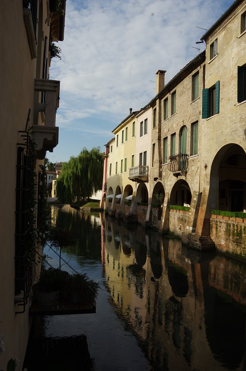 Nicoletta De Rossi tweet media