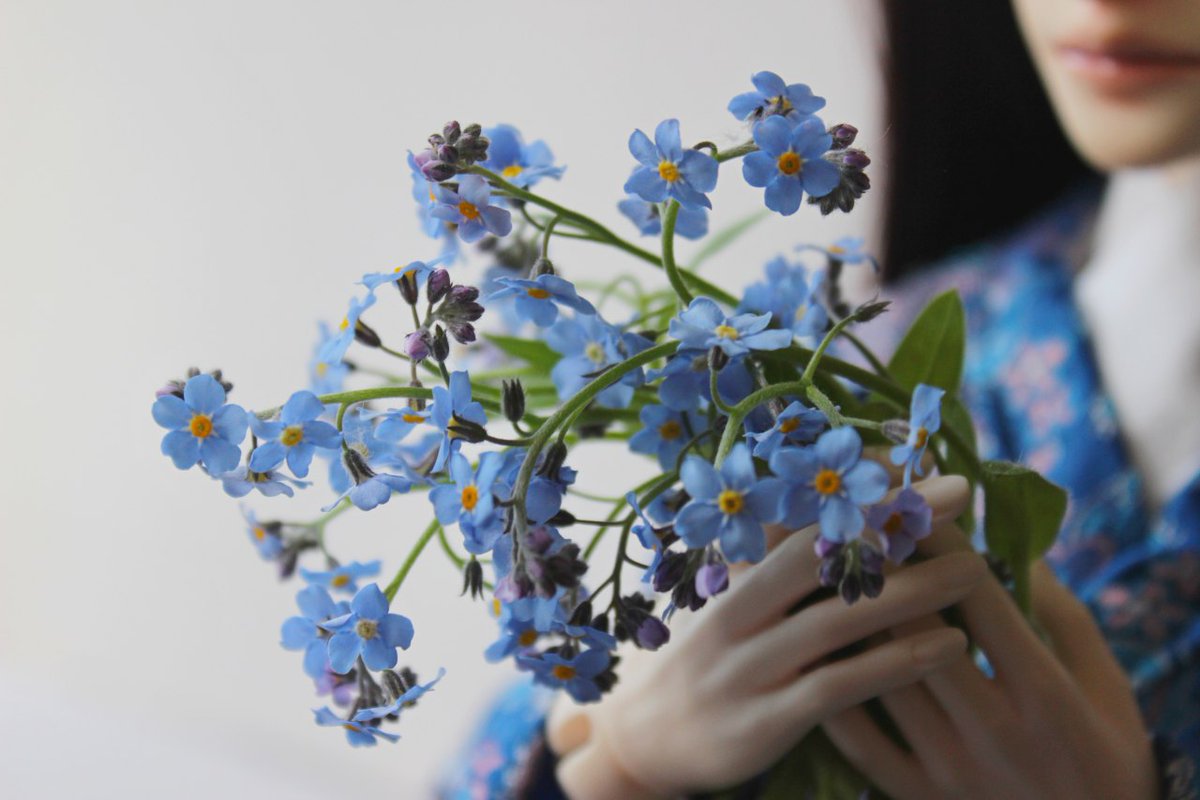 tetsunatsuko's tweet photo. Магия спящих кукол! Нежный весенний Лоран с незабудками 🌸
#GlobalTranz #LensV2 #TelseHush
#Lens #куклыbjd #Belarus #bjd #bjd_by #Gameofdolls_Minsk #незабудка #forgetmenot #цветы #весна #spring #нежность https://t.co/FoMcoPdz6Y