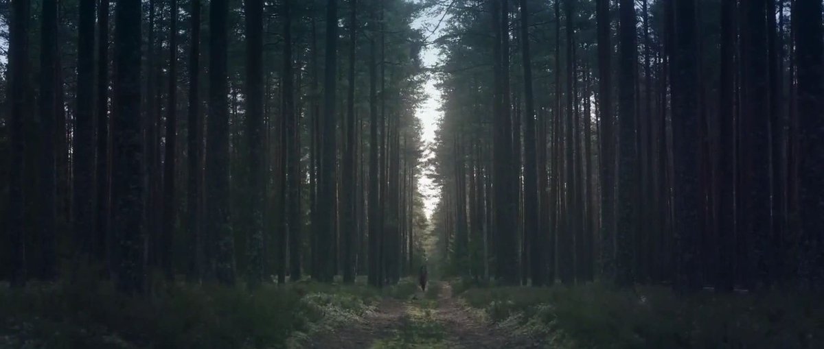 a thread of a piece of your mind picturesque shots: