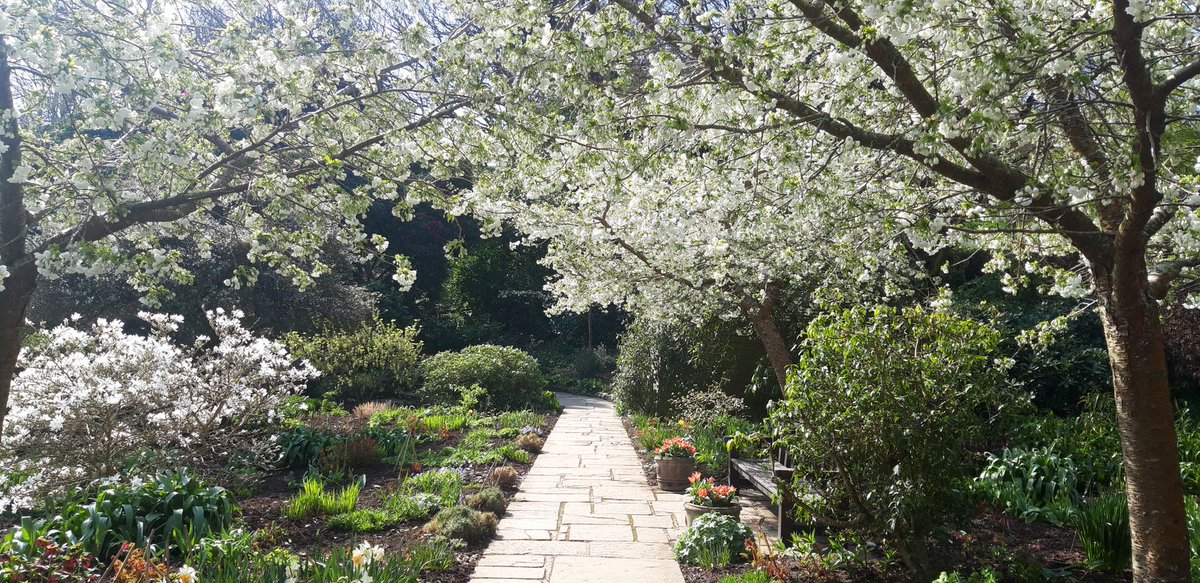nationaltrust's tweet image. Each year we wait in anticipation of blossom season.

During these uncertain times, we want to bring blossom to where you are in the hope that it will lift your spirits. Use #BlossomWatch to share joy and photos with others who can’t see blossom for themselves right now.
