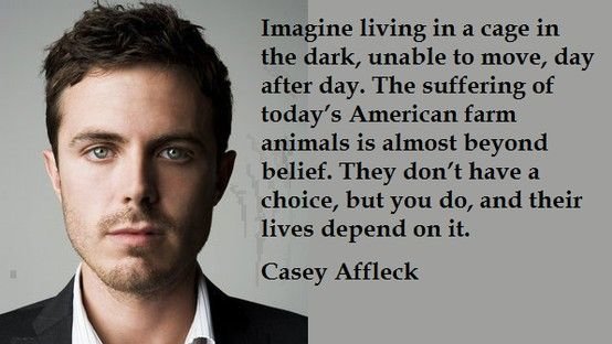 HumanSirk's tweet image. beau jour, juste lutte !