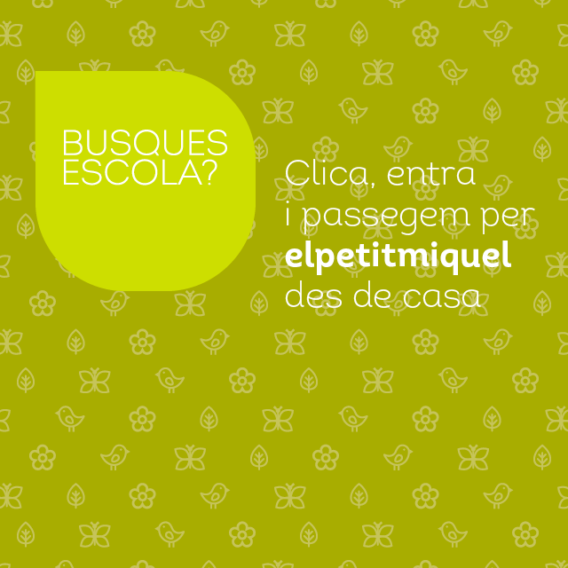 elpetitmiquel's tweet photo. 👋🏼Hola famílies! Desitgem que estigueu ben bé de salut i que aquests dies passin amb la màxima celeritat possible. Compartim amb vosaltres l’espai web https://t.co/jboZQtOHE9 creat a petició de les famílies que ens han demanat poder veure l’escola sense sortir de🏠#joemquedoacasa https://t.co/iJQaRL0uIV