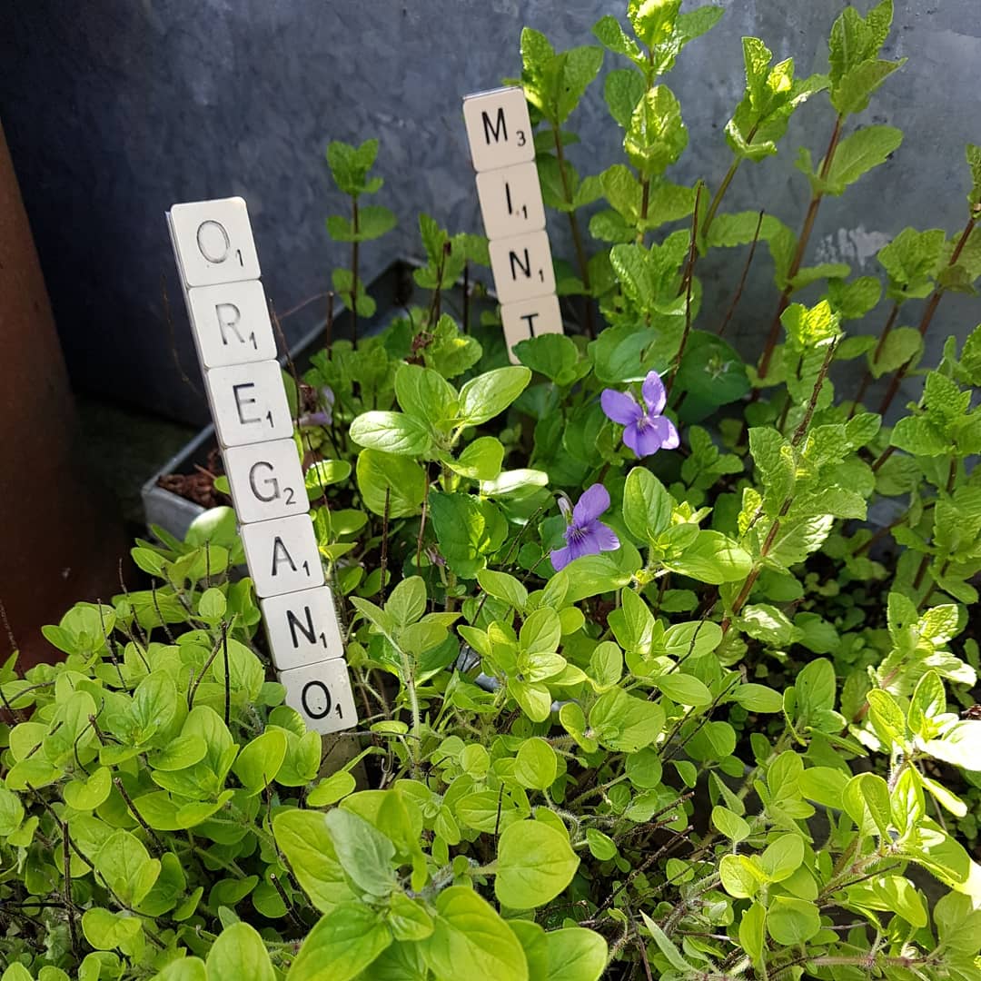 Got an old scrabble set in the loft you don't use any more ? Why not get the kids involved &amp; make some herb &amp; plant markers for the garden ?
