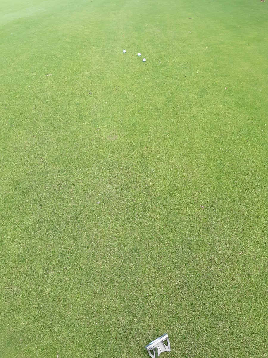 AMP1618's tweet image. Was good while it lasted. No more 56 deg fizzers. @Dartman62 we'll be back! #bounce #gatesshut #outyougo