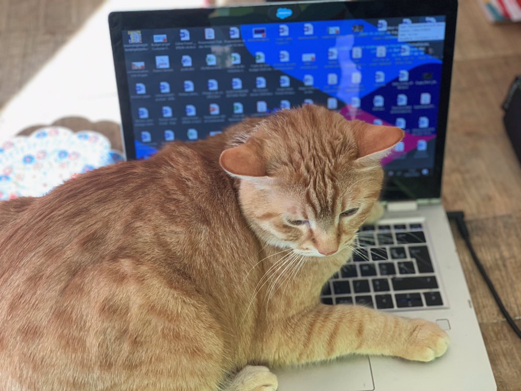 Céline Forest tweet media