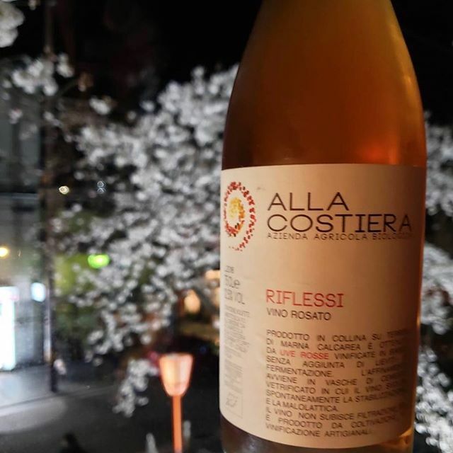 本日も元気に営業いたしております!!
微力ではありますがこの波が１日でも早く収まるよう、スタッフ一同、改めて日常の感染予防には徹底いたします。

#kiln #kilnrestaurant #京都 #薪焼き料理 #レストラン #河原町 #フレンチ #ワイン #ナチュラルワイン #10時以降も入れる