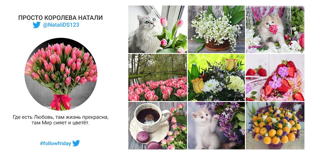 mva_project's tweet photo. ПРОСТО КОРОЛЕВА НАТАЛИ @NataliDS123
#recommend #sledui #followfriday #FF https://t.co/zrUF8ZnM6K