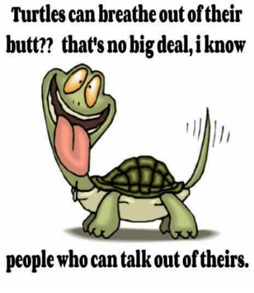RodTobermore's tweet photo. It’s a #friday fun fact for a bit of light humour. @Tobermore https://t.co/z5nyhPoebm