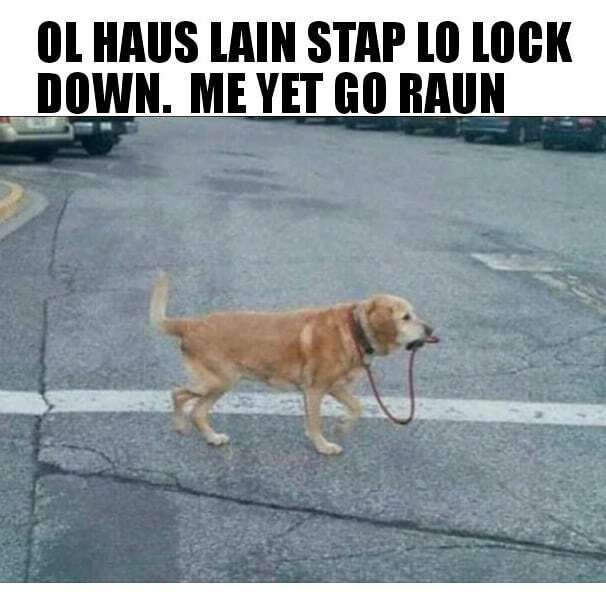 WhatsGoodPNG's tweet photo. Day 5 Lock Down 🐕
Ima take myself out for a walk. .
.
#coronavírus #socialdistancing #lockdown #digsofinstagram #dogsofworld #dogleashes #streetwearculture #papuanewguinea https://t.co/DXpBHq0arY https://t.co/8Rre2it3uO